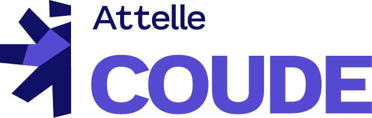 Igloo picto attelle coude